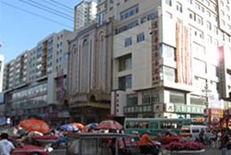 ĵ��������������Ƶ�